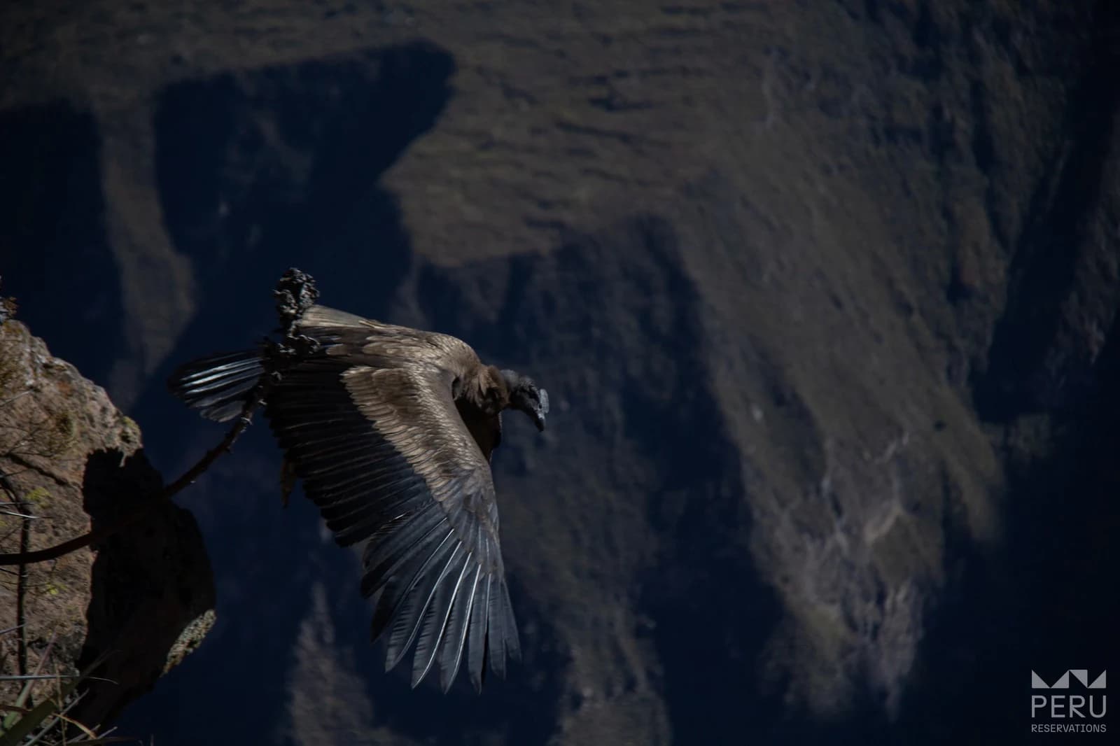 Chonta Condor Viewpoint: Full Day Hike to the Andean Condor Observatory - photo 1
