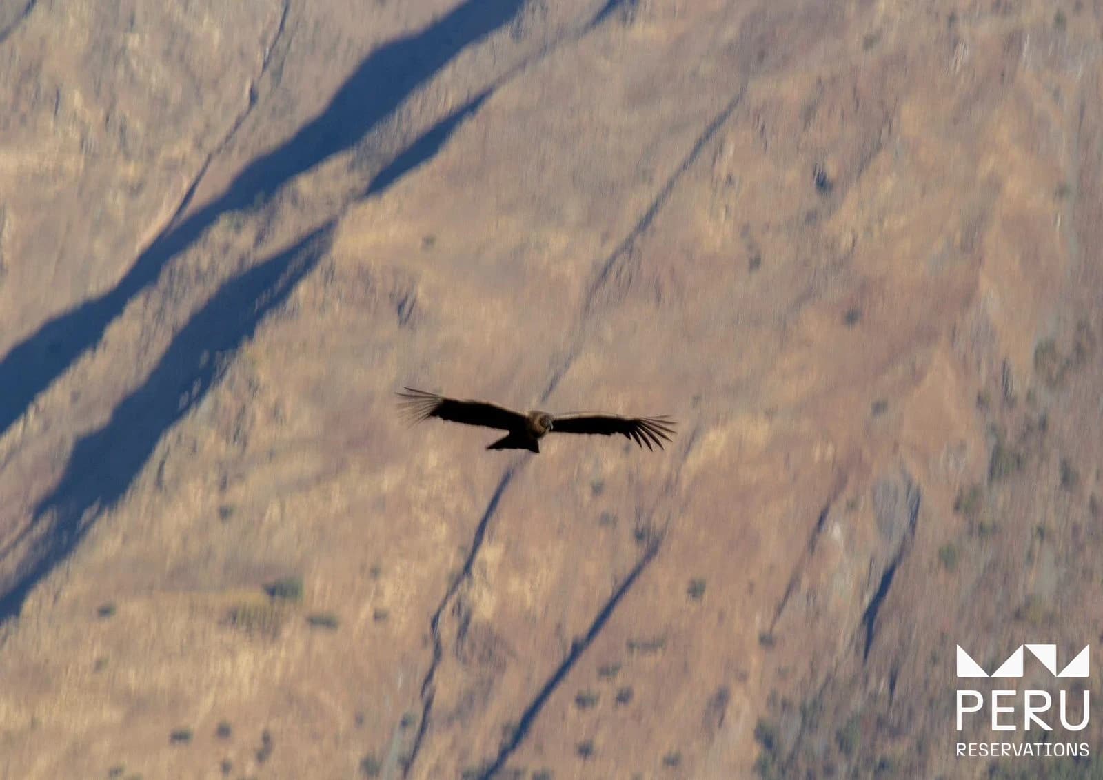 Chonta Condor Viewpoint: Full Day Hike to the Andean Condor Observatory - photo 5