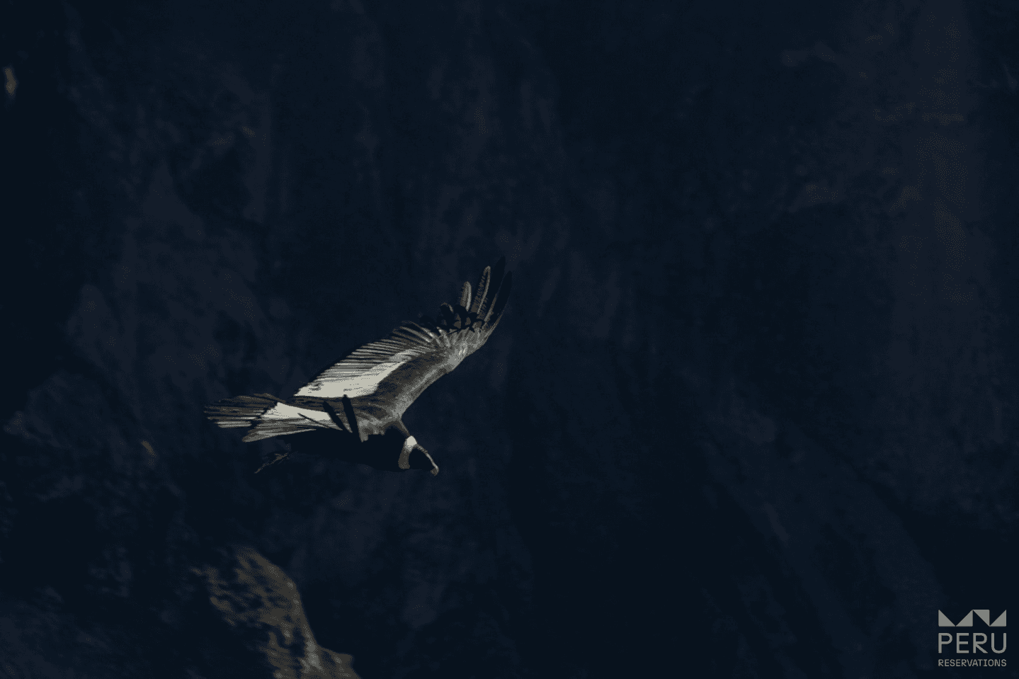 Chonta Condor Viewpoint: Full Day Hike to the Andean Condor Observatory