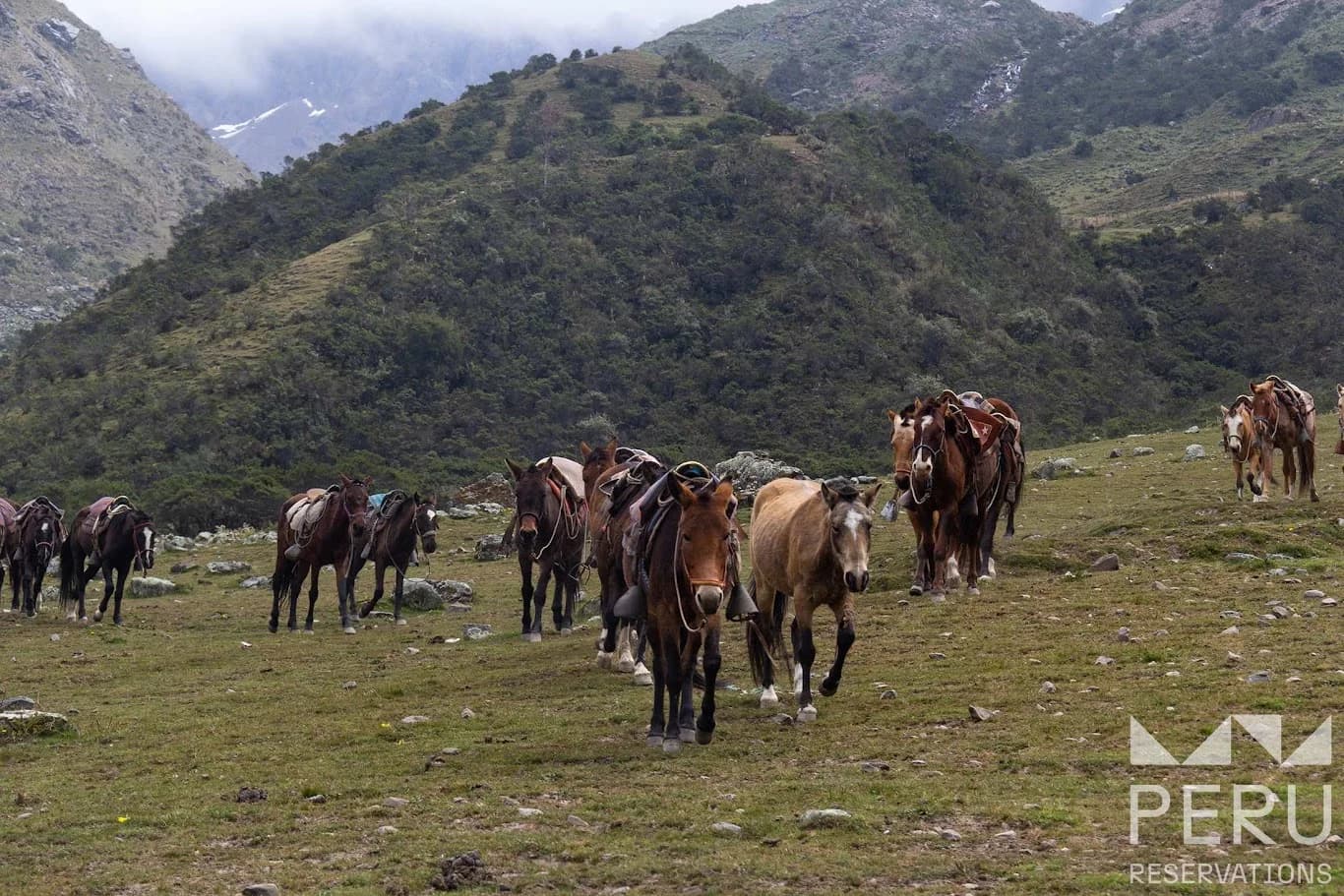 Caminata a la Laguna Humantay: Una Aventura de Día Completo a Uno de los Lagos Más Hermosos de los Andes - foto 3
