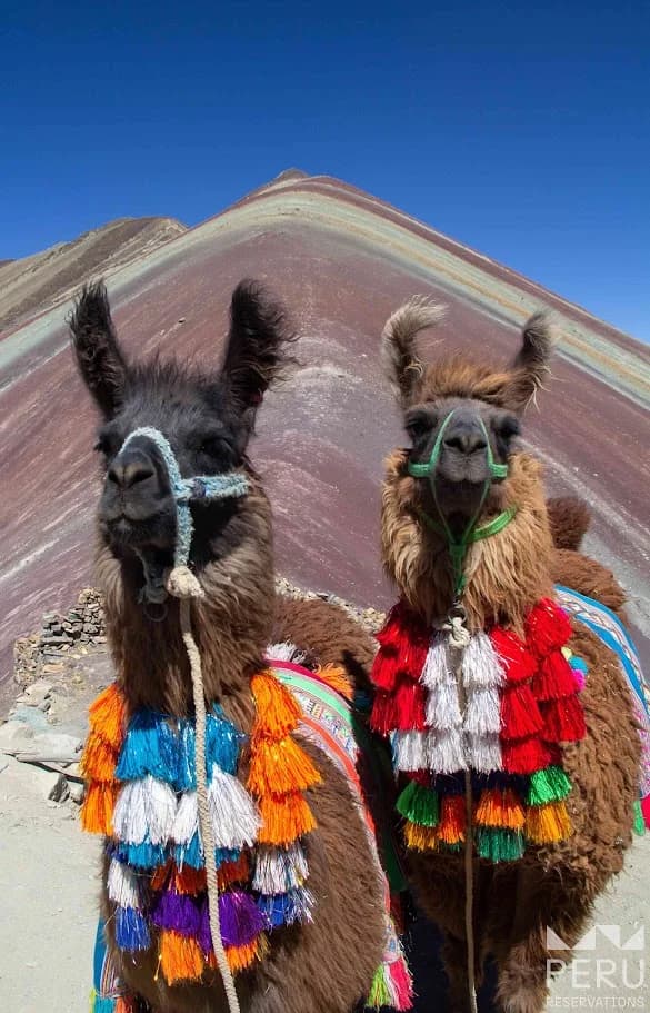 Rainbow Mountain & Red Valley: Full Day Hike to Vinicunca - photo 1