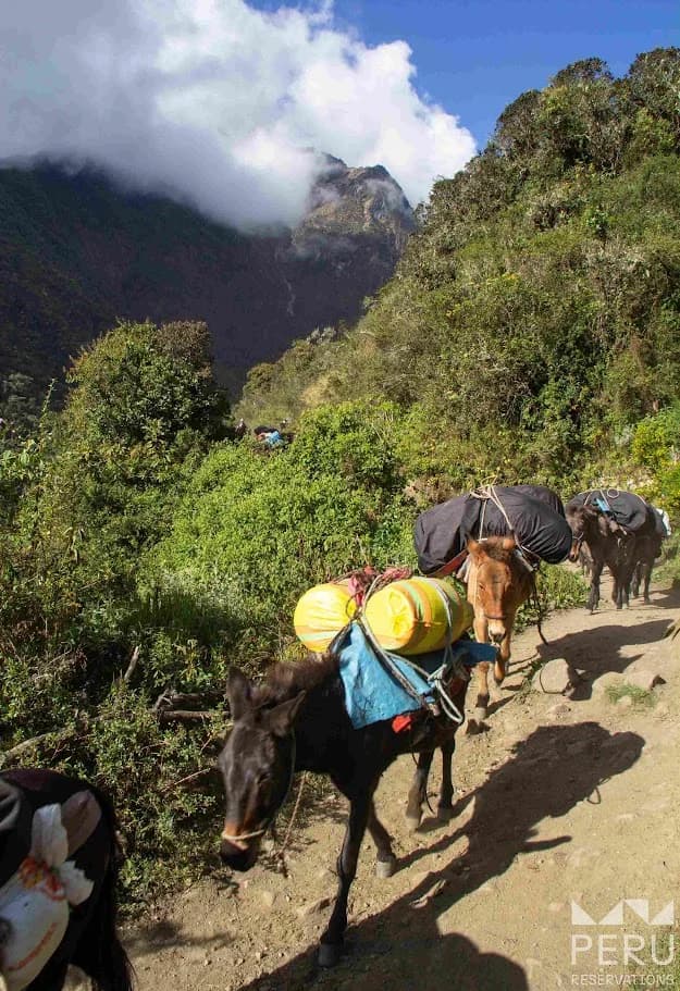Salkantay Trek to Machu Picchu 5 Days / 4 Nights: Conquer the Sacred Mountain - photo 5