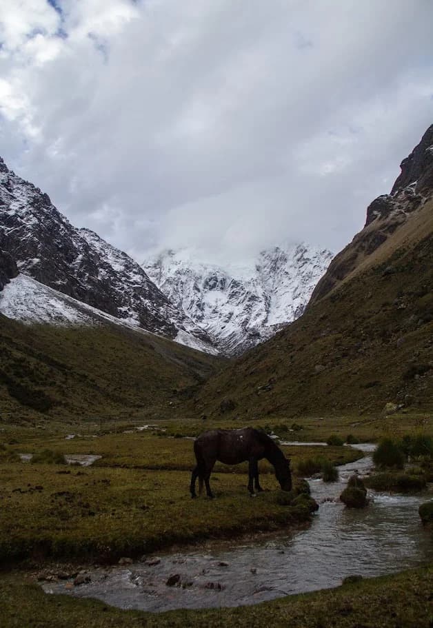 Salkantay Trek to Machu Picchu 5 Days / 4 Nights: Conquer the Sacred Mountain - photo 6