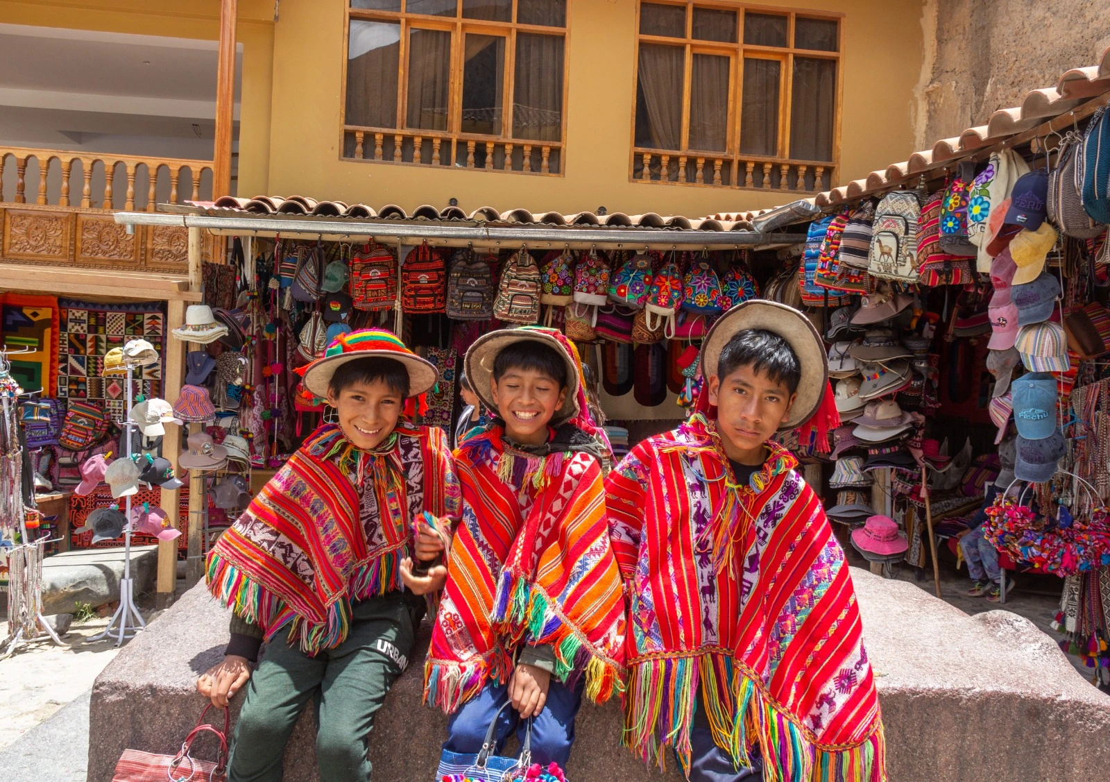 Children and Alpacas in Andean Field
