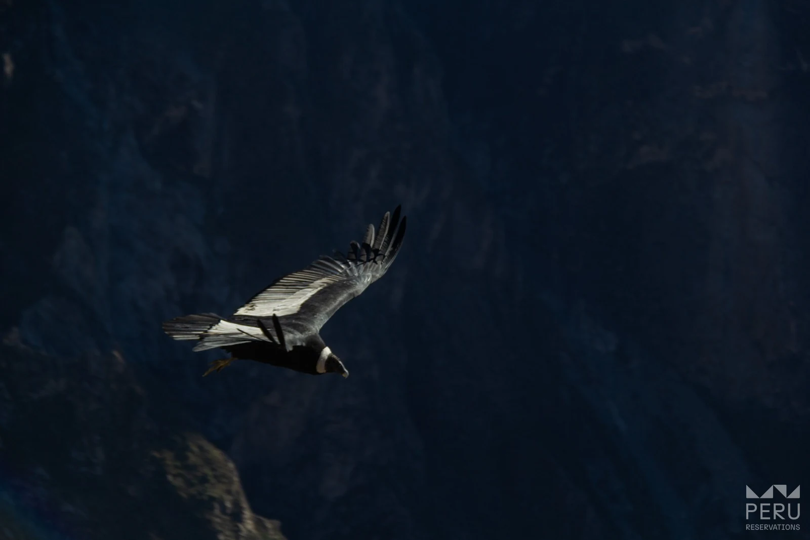 CHONTA CONDOR VIEWPOINT: Full Day Hike to the Andean Condor Observatory