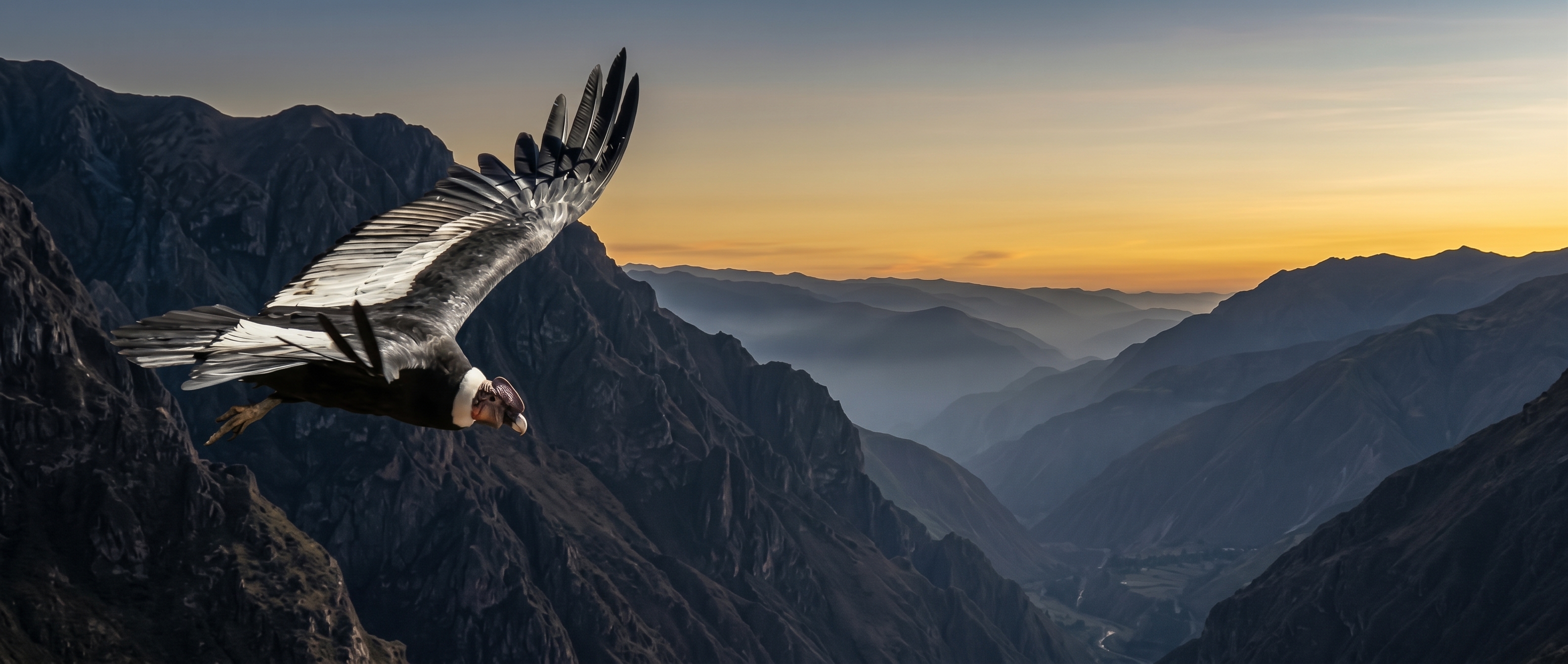 CHONTA CONDOR VIEWPOINT: Full Day Hike to the Andean Condor Observatory