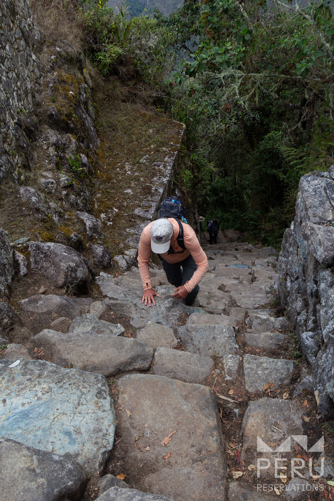 excursionista_subiendo_escaleras_de_piedra_machu_picchu-hiker_climbing_stone_stairs_machu_picchu excursionista_subiendo_escaleras_de_piedra_machu_picchu-hiker_climbing_stone_stairs_machu_picchu