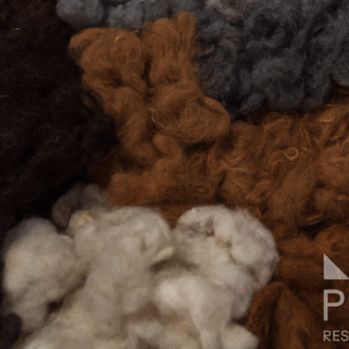 fibras_de_alpaca_sin_procesar_en_canasta-unprocessed_alpaca_fibers_in_basket