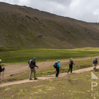 grupo_de_excursionistas_caminando_en_montañas_con_alpacas-group_of_hikers_walking_in_mountains_with_alpacas