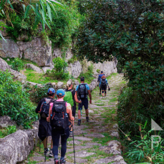 grupo_de_excursionistas_en_sendero_de_piedra_verde-group_of_hikers_on_green_stone_path
