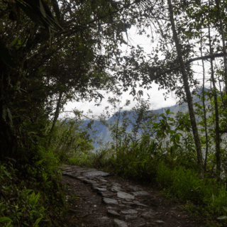 sendero_de_piedra_en_bosque_con_montañas_y_nubes-stone_path_in_forest_with_mountains_and_clouds