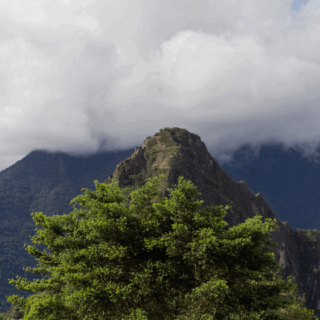 vista_de_machu_picchu_con_árbol_y_nubes-view_of_machu_picchu_with_tree_and_clouds
