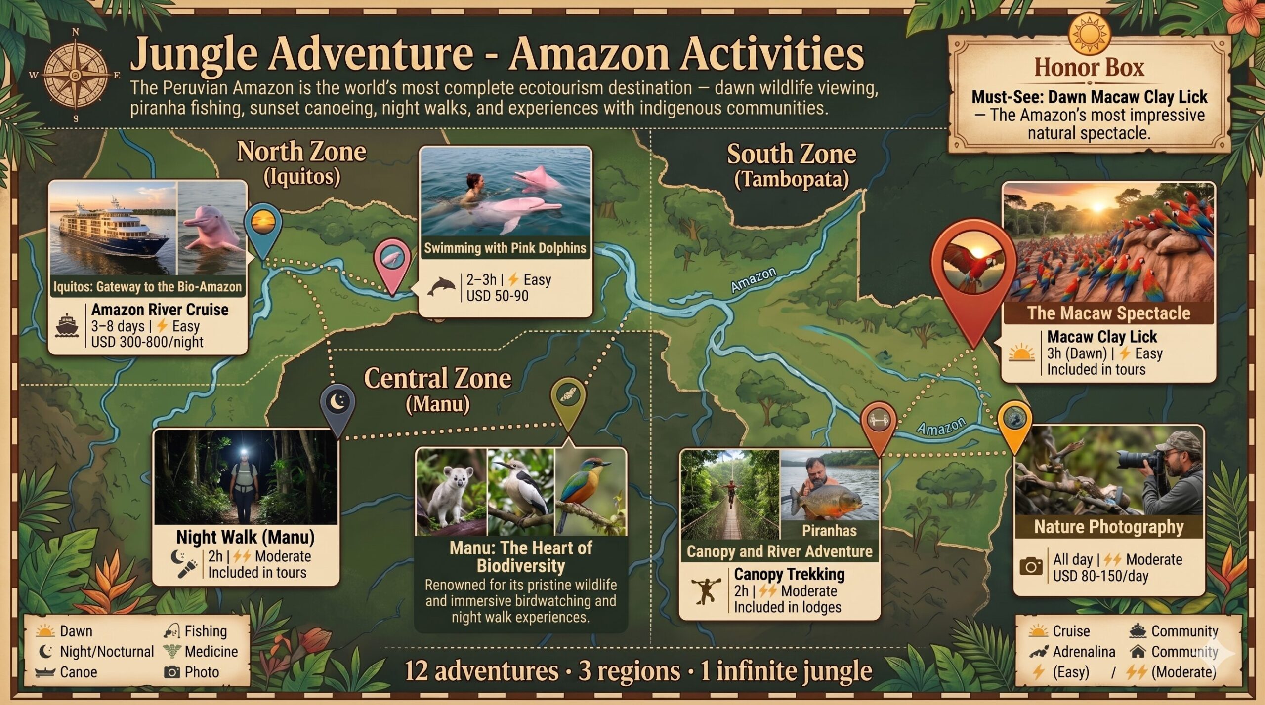 Activities Amazon Infographic